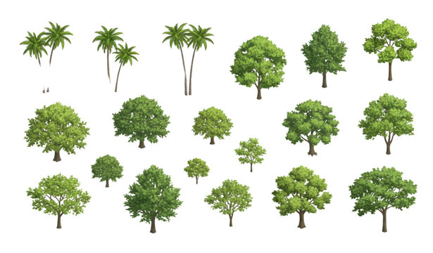 Title 2
Realistic isometric palm and deciduous tree collection with dimensional foliage and soft shadows for architectural rendering