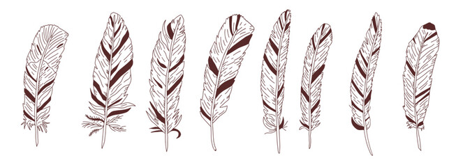 Feathers boho drawing with intricate line work and boho style. Artistic sketch featuring elegant plume design, ideal for vintage-inspired creative project. Vector cowgirls elements isolated. © Syuzann q