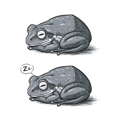 Cartoon frogs sleeping with speech bubble in simple illustration style