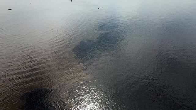 Cinematic drone descent towards the meeting of two rivers. Sun and cloud reflections dance on the water surface as the distinct color boundary appears between the Amazon and Negro rivers.