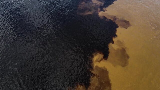 4K aerial clip following sharp boundary between black and brown river waters. Cloud reflections shimmer on the calm surface of the Amazonian confluence near Manaus, Brazil.