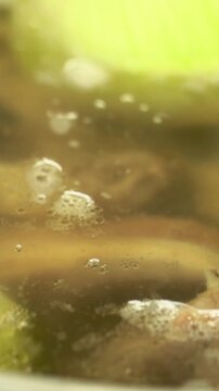 Close-Up of Simmering Pot with Veget
