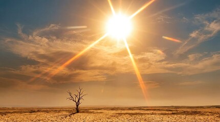 Sky with bright sun and extreme global climate concept. Stunning sunset over a barren landscape with a single tree.
