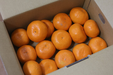 段ボールに入ったたくさんのみかん