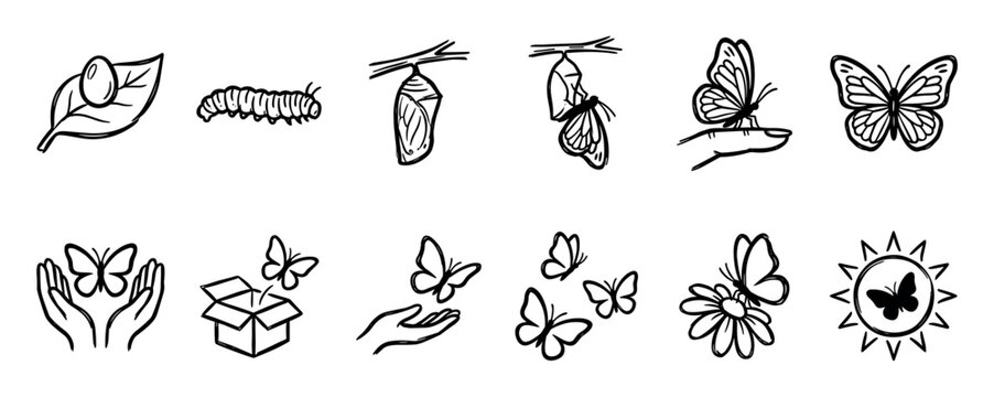 Hand drawn butterfly life cycle icon set showing metamorphosis from egg and caterpillar to chrysalis and adult insect in a minimalist black and white doodle style illustration