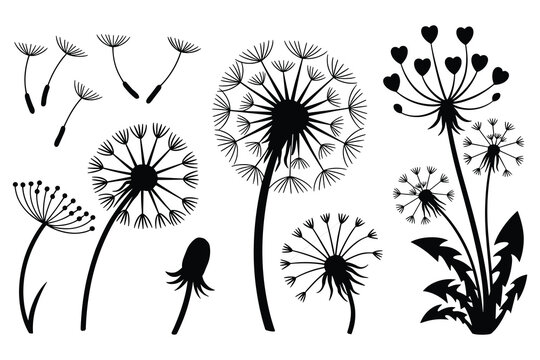 Dandelion Silhouettes with Seeds and Heart-Shaped Flowers Vector Graphic