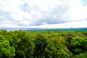 Fototapeta premium View of nature from the Lenneberg Tower. Landscape near Budenheim. 
