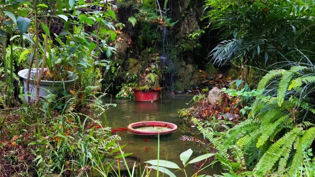 Asian Garden and waterfall in spring