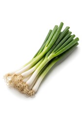 Fresh green onions bunch with white and green stems and roots
