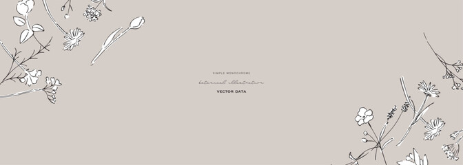 草木のベクター背景。植物のナチュラルフレーム。草木の線画イラスト。