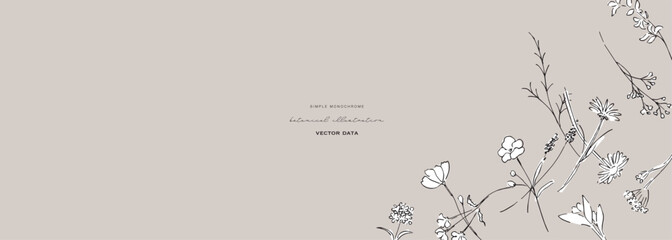 草木のベクター背景。植物のナチュラルフレーム。草木の線画イラスト。