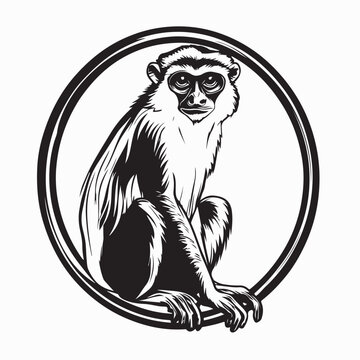 Colobus Monkeys-Africa's Majestic Primates Vector Image