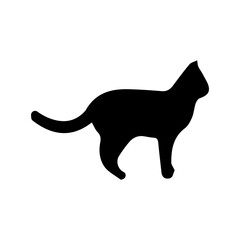 Black Cat Silhouette Icon © Fatih