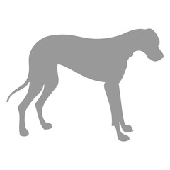 Obraz premium Grey Dog Silhouette