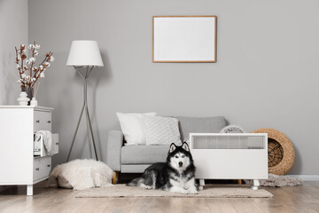 Cute husky dog lying near modern electric convector heater in stylish living room © Pixel-Shot