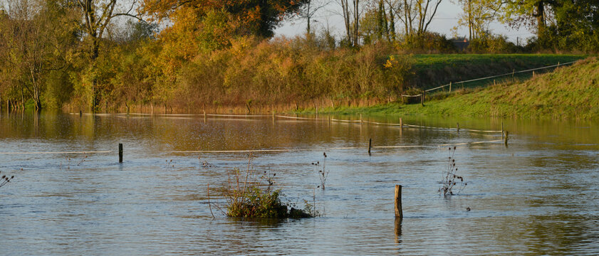 Prairie inond&eacute;e par le d&eacute;bordement de l'Arroux, une rivi&egrave;re de Bourgogne en France, par une journ&eacute;e d'hiver ensoleill&eacute;e, format banni&egrave;re