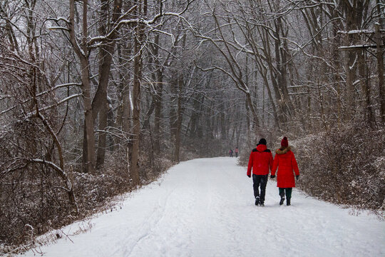 Couple in red coats walk hand in hand on snowy forest trail in winter