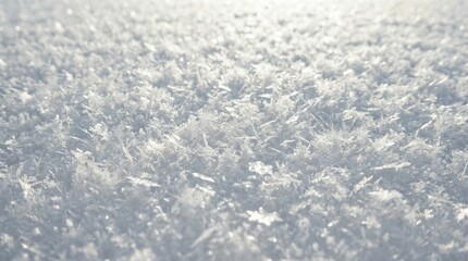 Obraz premium Close up of sparkling frost crystals catching bright sunlight on a cold morning