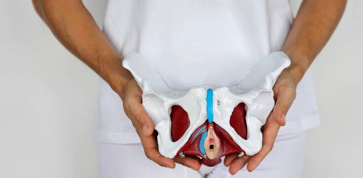 The woman experiences lower back pain due to pelvic problems concept