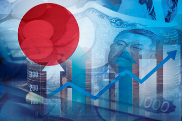 business investment in Japan , financial graph information