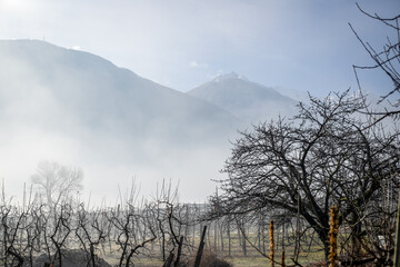 nebbia in montagna