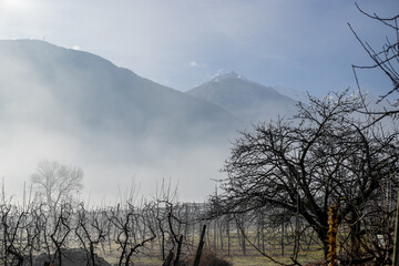 nebbia in montagna
