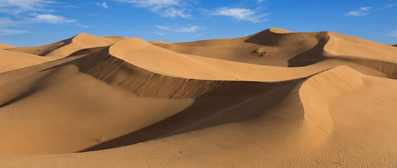 Golden Sand Dunes Desert Landscape 