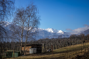 nebbia in montagna