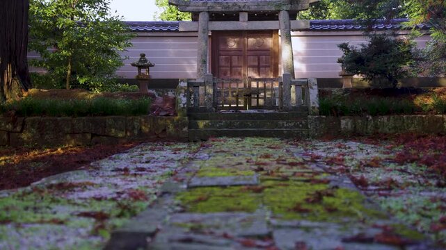 Mossy Old Temple in Mountains of Oki Islands, Japan