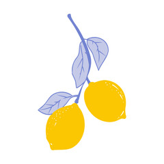 Cute coquette print lemons on branch. Floral trellis citrus. Lemon with leaves, lemon slice, part.
