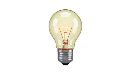 Incandescent Light Bulb