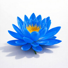 Fototapeta premium Blue Sacred Lotus Flower in Full Bloom – Isolated on White