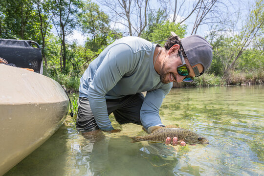 Hispanic Male Angler Releasing Smallmouth Bass into River