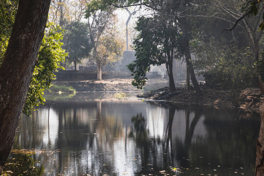 stone and jungle merged in the same temple