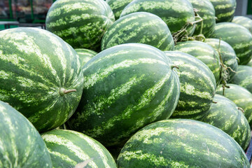 A bunch of ripe, striped watermelons ready for sale.