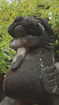 Chengdu, Sichuan, China. Stone Guardian Lion at Wuhou Memorial Temple. Guardian Lion Or Imperial Guardian Lions Are Traditional Chinese Architectural Ornament. Memorial Temple Of Marquis Wu