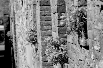 Obraz premium Borghi toscani in bianco e nero. I vicoli medievali del borgo di Montisi nella regione delle Crete Senesi, in provincia di Siena. Toscana, Italia