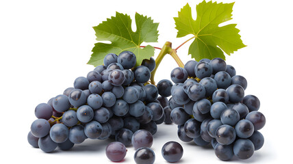 Fototapeta premium A bunch of purple grapes with green leaves on a white background
