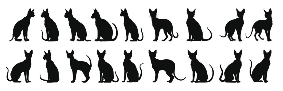 peterbald cat silhouette clipart bundle 