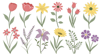 Flower floral botanical illustration vector plant blossom leaf collection of pastel wildflower and garden bloom, hand drawn style, isolated on white background for decor and print