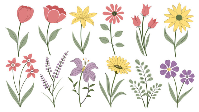 Flower floral botanical illustration vector plant blossom leaf collection of pastel wildflower and garden bloom, hand drawn style, isolated on white background for decor and print