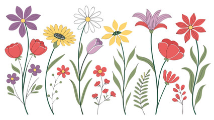 Flower wildflower botanical illustration vector colorful bouquet garden set, hand drawn floral collection with leaves and stems, cute spring design isolated on white background