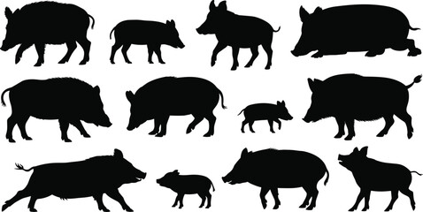Naklejka premium Comprehensive collection of wild boar and feral pig silhouettes featuring detailed farm animal outlines, aggressive hog profiles, and domestic sow shapes for nature design.