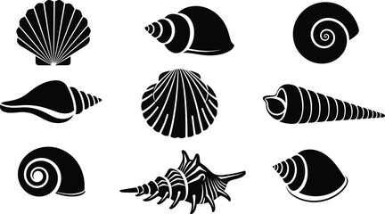 Sea Shells Silhouettes Set Vector Illustration of Various Marine Mollusk Shells Isolated on White Background for Design, Logos, and Nature Themed Graphics © Nayan