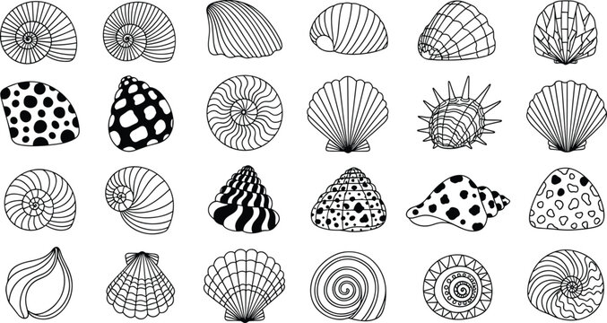 Black and White Sea Shell Collection Vector Set with Hand Drawn Minimalist Nautical Elements Isolated on White Background for Marine Pattern Design and Summer Decor