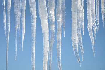 big sunlit winter icicles on bright blue sky background