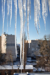 Large icicles over defocused winter urban cityscape background