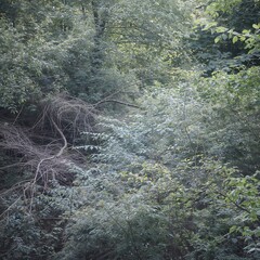 III Colour Palette Lighting Variations