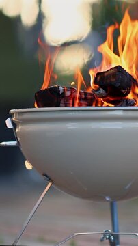 Vertical shot of bright flames in a BBQ grill with a blurry rural village background