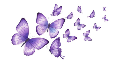 Flock of purple butterflies flying, isolated background